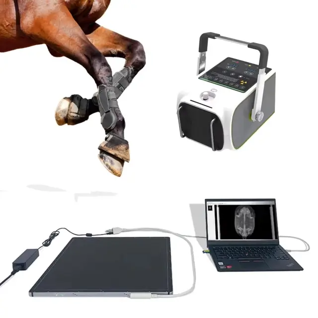Animals Products 1.6KW Veterinery X-Ray Machine Digital Imager,Fatali Medical equipment