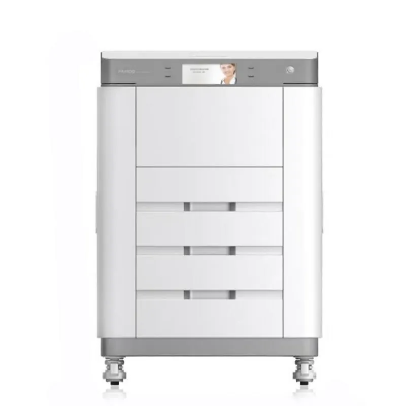 High Throughput Dry Printer