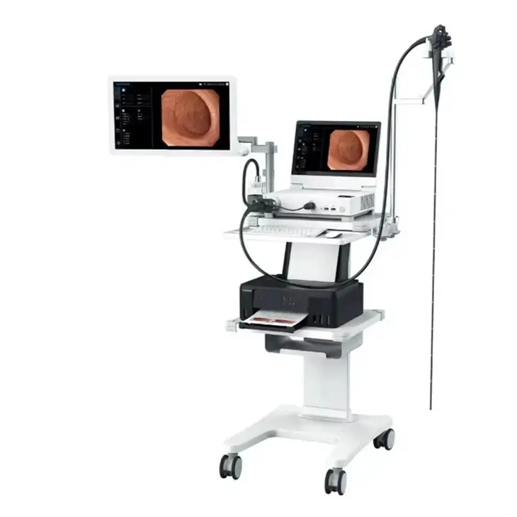 digestive-endoscopy-system225ccfc4-538a-437b-8f1e-0e71144b4d73